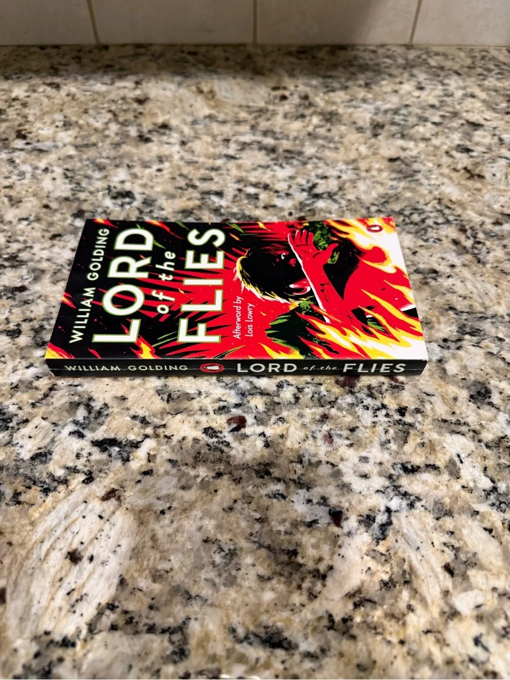 Lord of the Flies Paperback — Red, Black, Yellow Cover